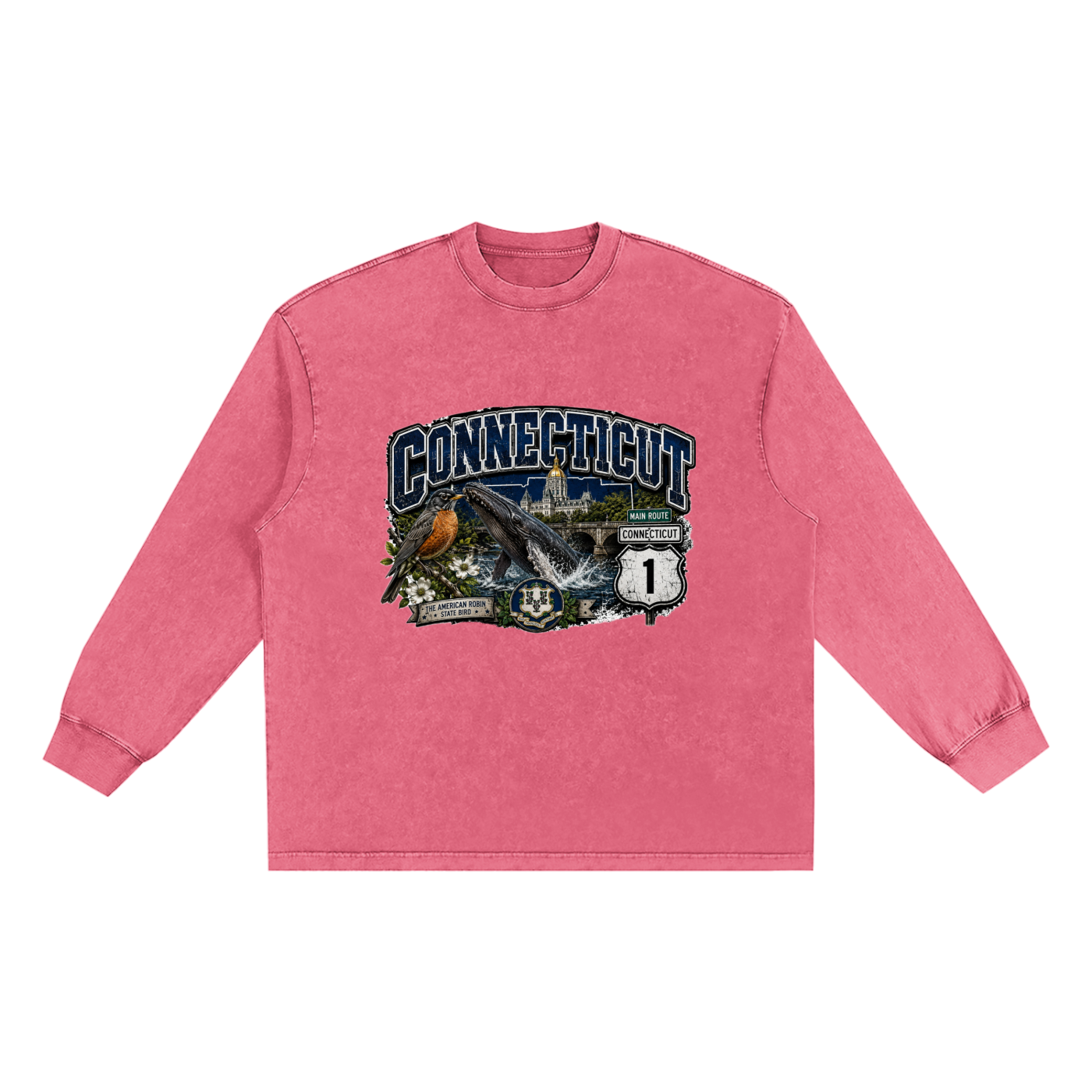 The Connecticut State Collection Snow Washed Frayed Edge Unisex T-Shirt